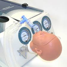 Lung Model